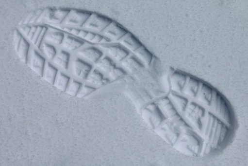 Blog - Jak číst stopy ve sněhu 