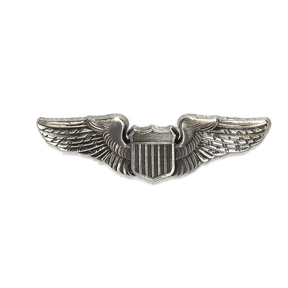 Levně FOSCO odznak ARMY AVIATOR WING STŘÍBRNÝ MATNÝ