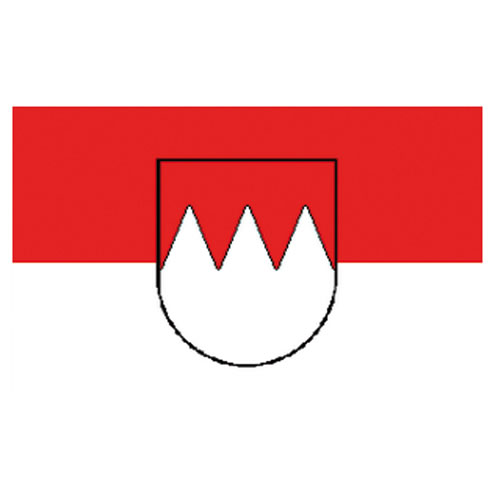 Levně MIL-TEC vlajka FRANKEN s emblemem