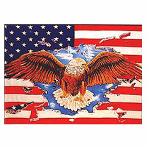 Levně Vlajka USA EAGLE