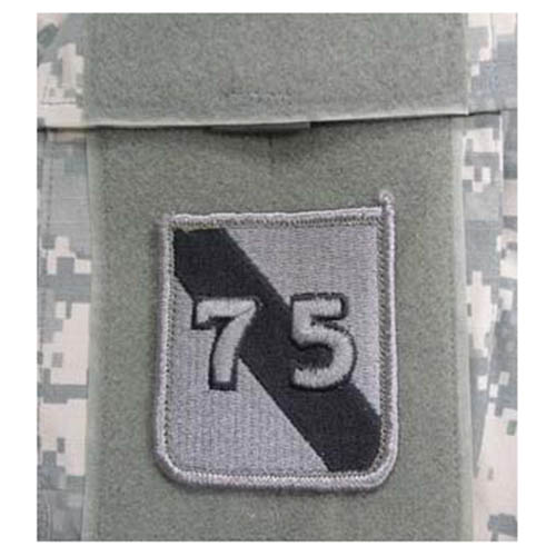 Levně MILITARY RANGE nášivka 75th INFANTRY DIVISION VELCRO - FOLIAGE