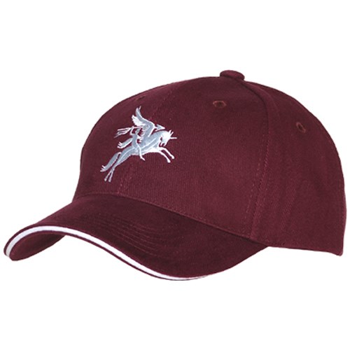 Levně FOSTEX čepice baseball PEGASUS VÍNOVÁ