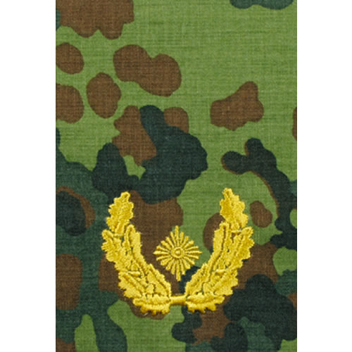 Levně Bundeswehr nárameník BW BRIGADEGENERAL FLECKTARN/zlaté vyšití