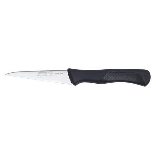 Nůž na zeleninu NEREZ střenka PLAST 10cm