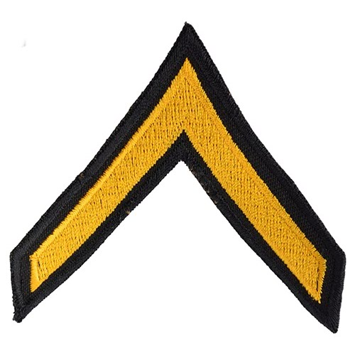 Levně NAVYS nášivka US hodnost PRIVATE - ZLATÁ