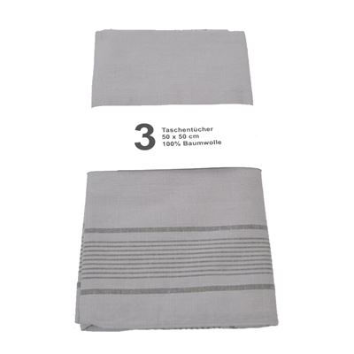 Kapesník BW 50 x 50cm šedý s pruhem balení 3 ks Bundeswehr 10260A010 2