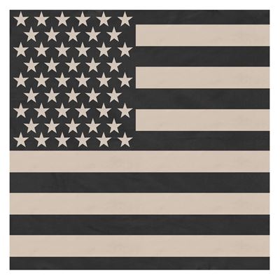Šátek 68 x 68 cm JUMBO vlajka USA SUBDUED