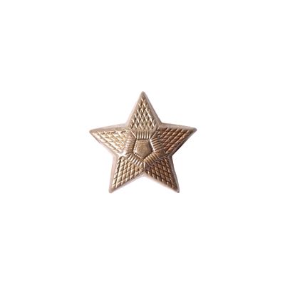 Odznak AČR hodnost hvězda bronzová malá