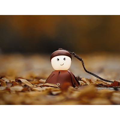 Svítilna ACORN LIGHT dobíjecí