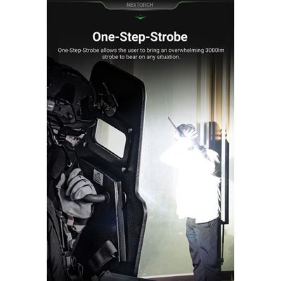 Štítové světlo P21 3000 lumenů