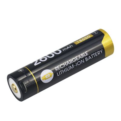 Baterie dobíjecí R26 2600 mAh micro USB typ 18650