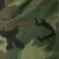 ERDL
